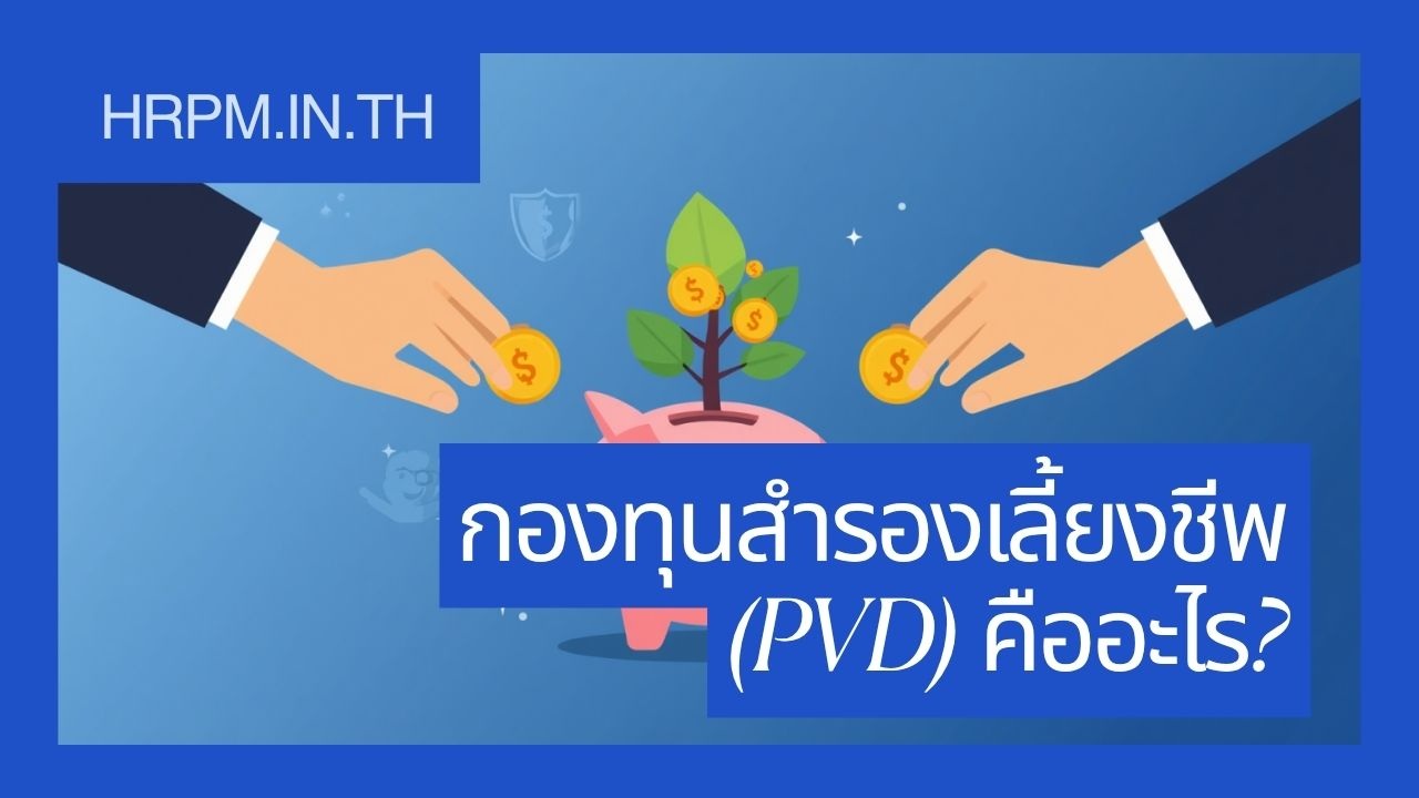 กองทุนสำรองเลี้ยงชีพ (PVD) คืออะไร คิดเงินสมทบอย่างไร และมีประโยชน์อะไรบ้าง