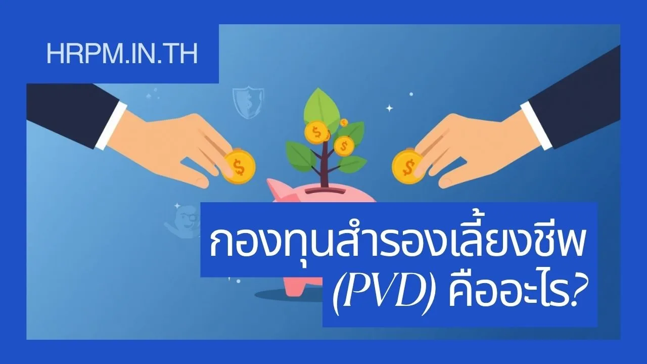 กองทุนสำรองเลี้ยงชีพ (PVD) คืออะไร คิดเงินสมทบอย่างไร และมีประโยชน์อะไรบ้าง